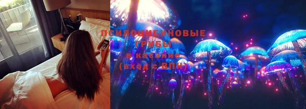 прущий лед Киреевск