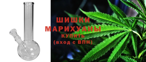 ПСИЛОЦИБИНОВЫЕ ГРИБЫ Козельск