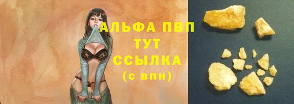 шишки Кодинск