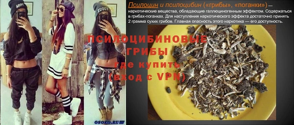 шишки Кодинск