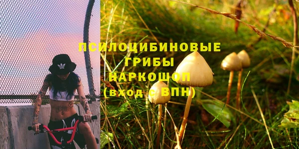 не бодяженный Киренск